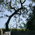 Marinada Vinicni Dum 4*
