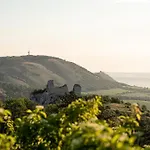 Marinada Vinicni Dum Bed & Breakfast 4*