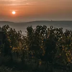Marinada Vinicni Dum