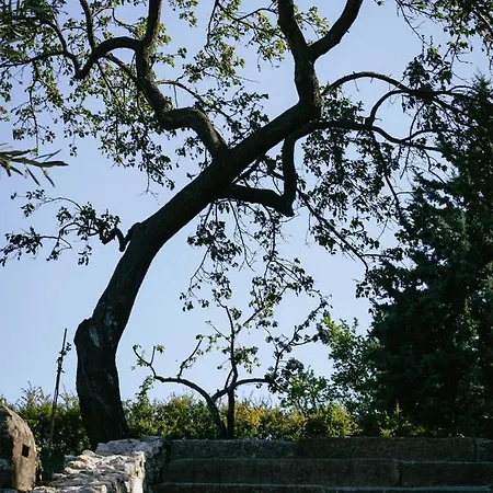 Marinada Vinicni Dum 4*