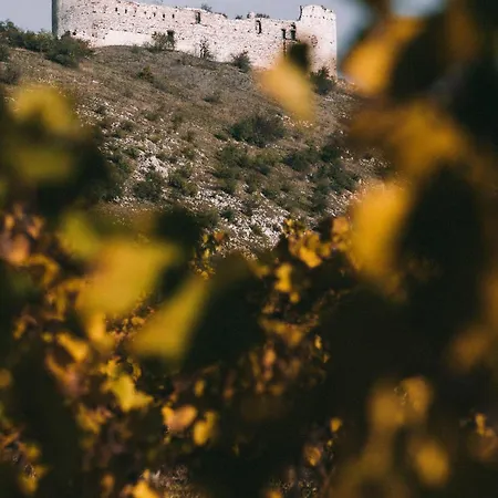 Marinada Vinicni Dum 파블로프