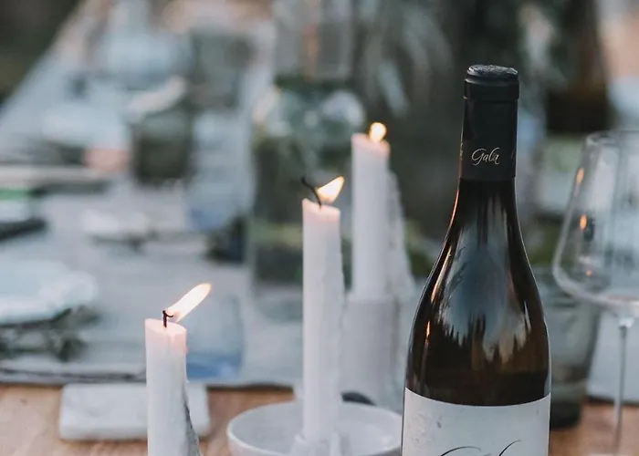 Marinada Vinicni Dum 3*